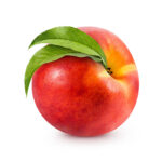 Nectarine