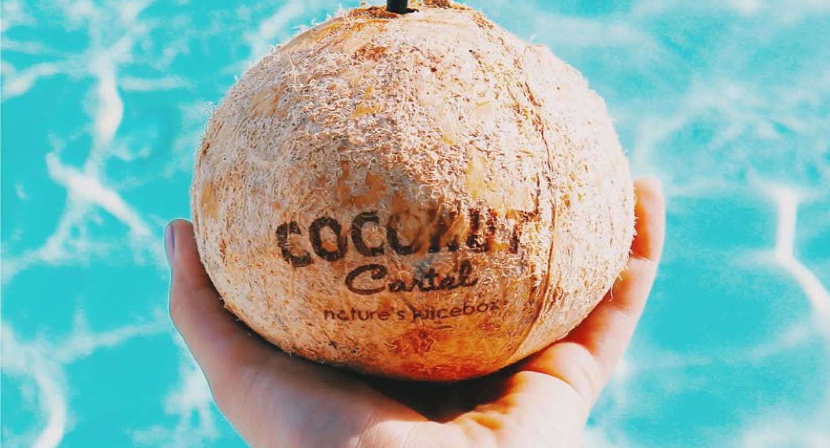 Coconut Cartel The Freshest Coconut Water for Your NYC & NJ Office