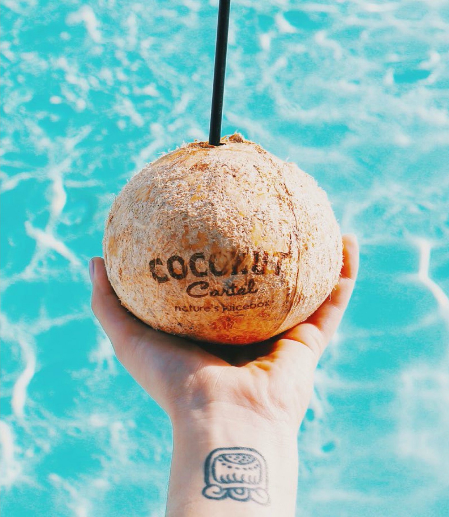 Coconut Cartel The Freshest Coconut Water for Your NYC & NJ Office