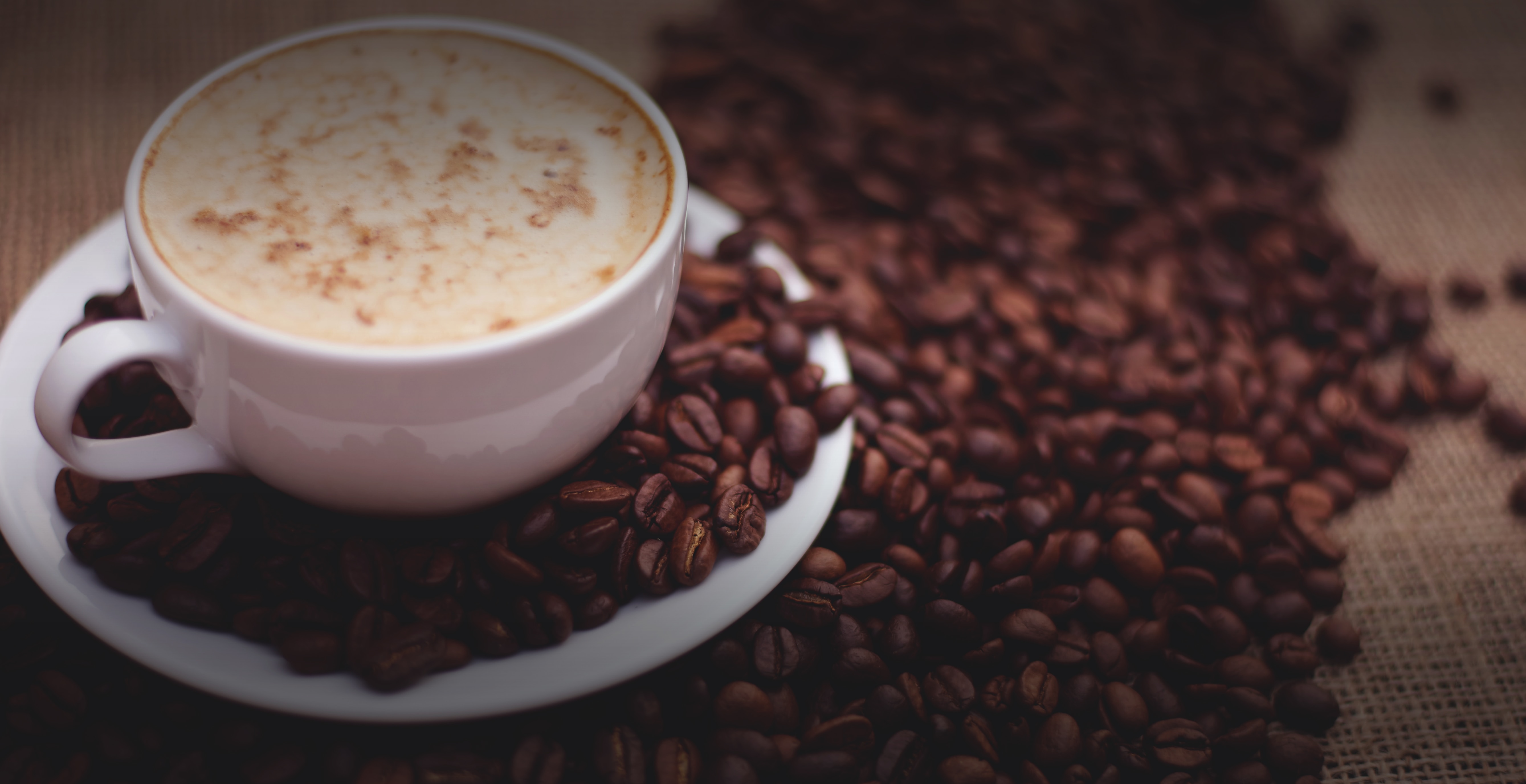 sustainable coffee roasters